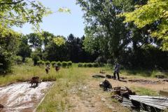 Jean-Michmich en plein labeur, sans aigreur, en pleine chaleur