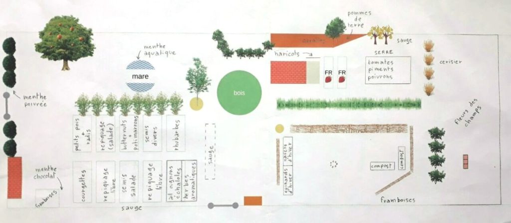 plan des cultures pour l'été 2022