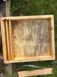 Activité apiculture 2